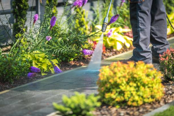 Best Dumpster Area Cleaning  in Hooks, TX