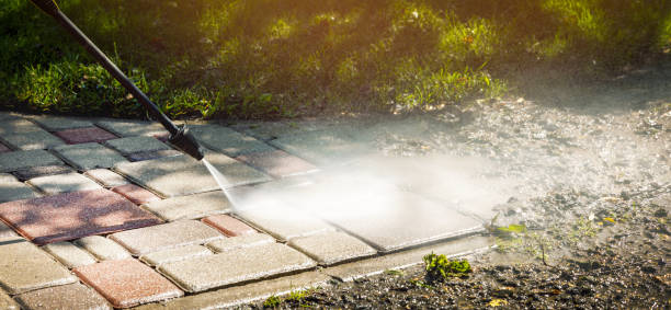 Best Fence Cleaning  in Hooks, TX